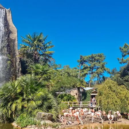 3 Bedroom Awesome In Лагор